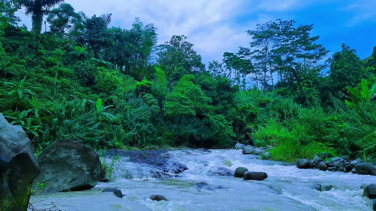 Nature's Sleep Aid | Soothing River Flow ASMR 🌙🌊