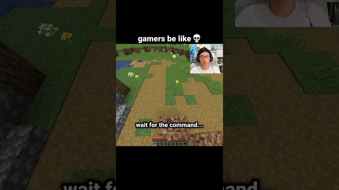 Minecraft Touch Grass Command Moment