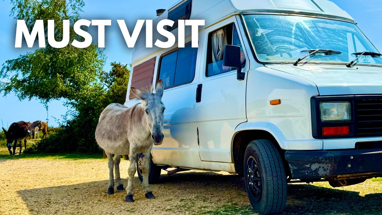 We Found Vanlife’s MOST UNIQUE Place in the UK, Living Dream / New Forest