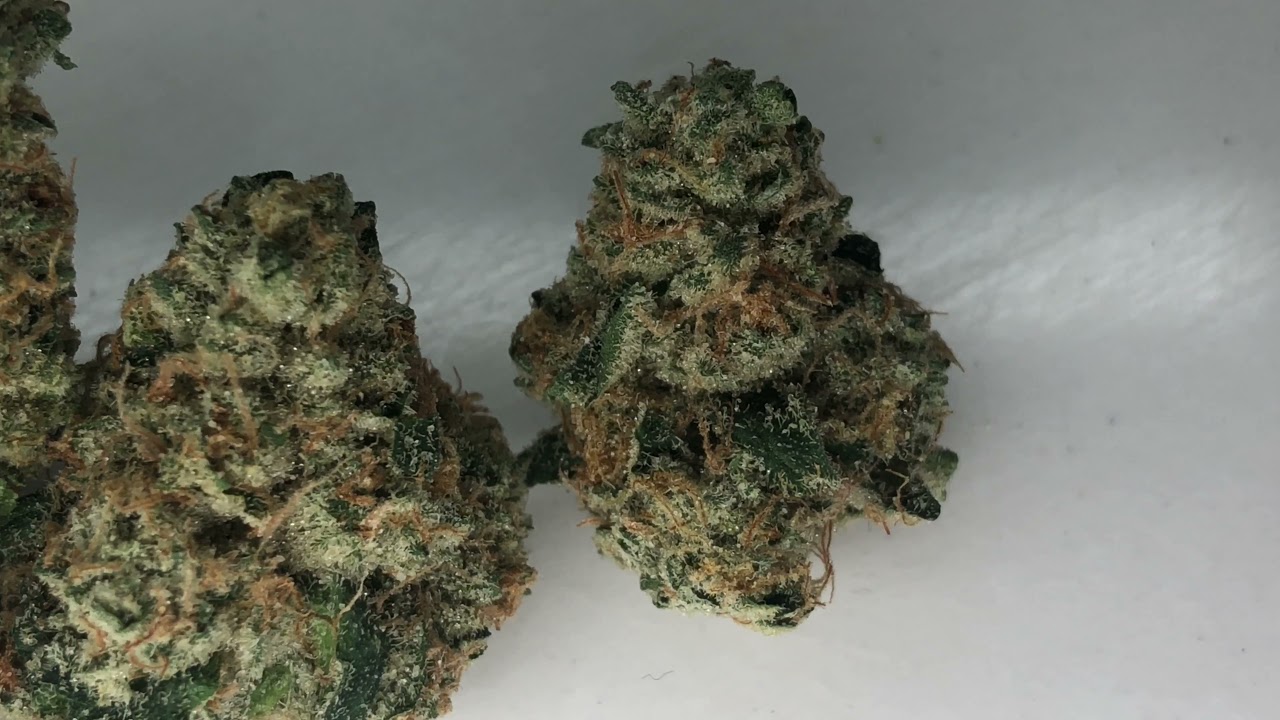 Cannacentric Recurring Pickups Series Ep. 6-Sun King OG