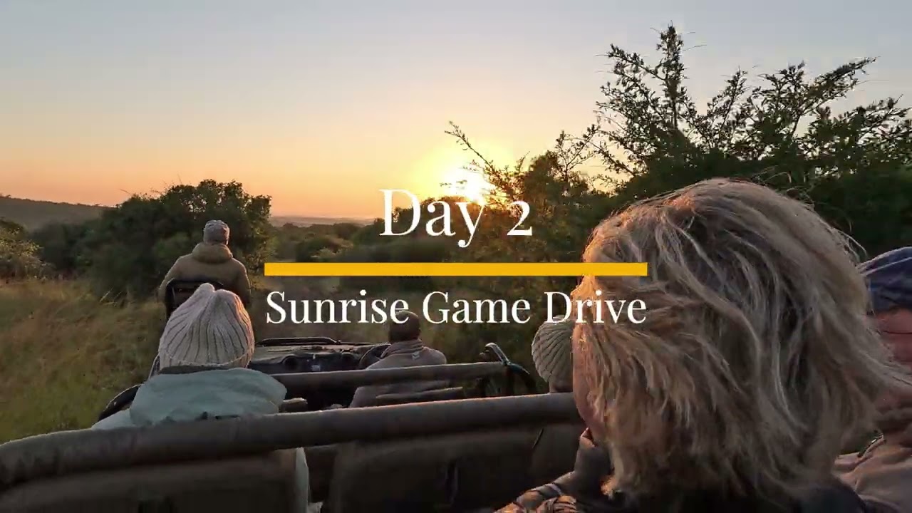 Phinda Mountain Lodge - May 2025