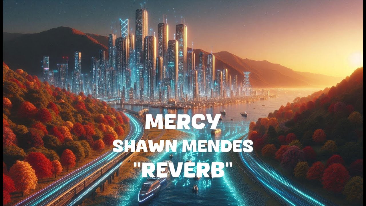 Shawn Mendes - Mercy (Reverb Lyrics)
