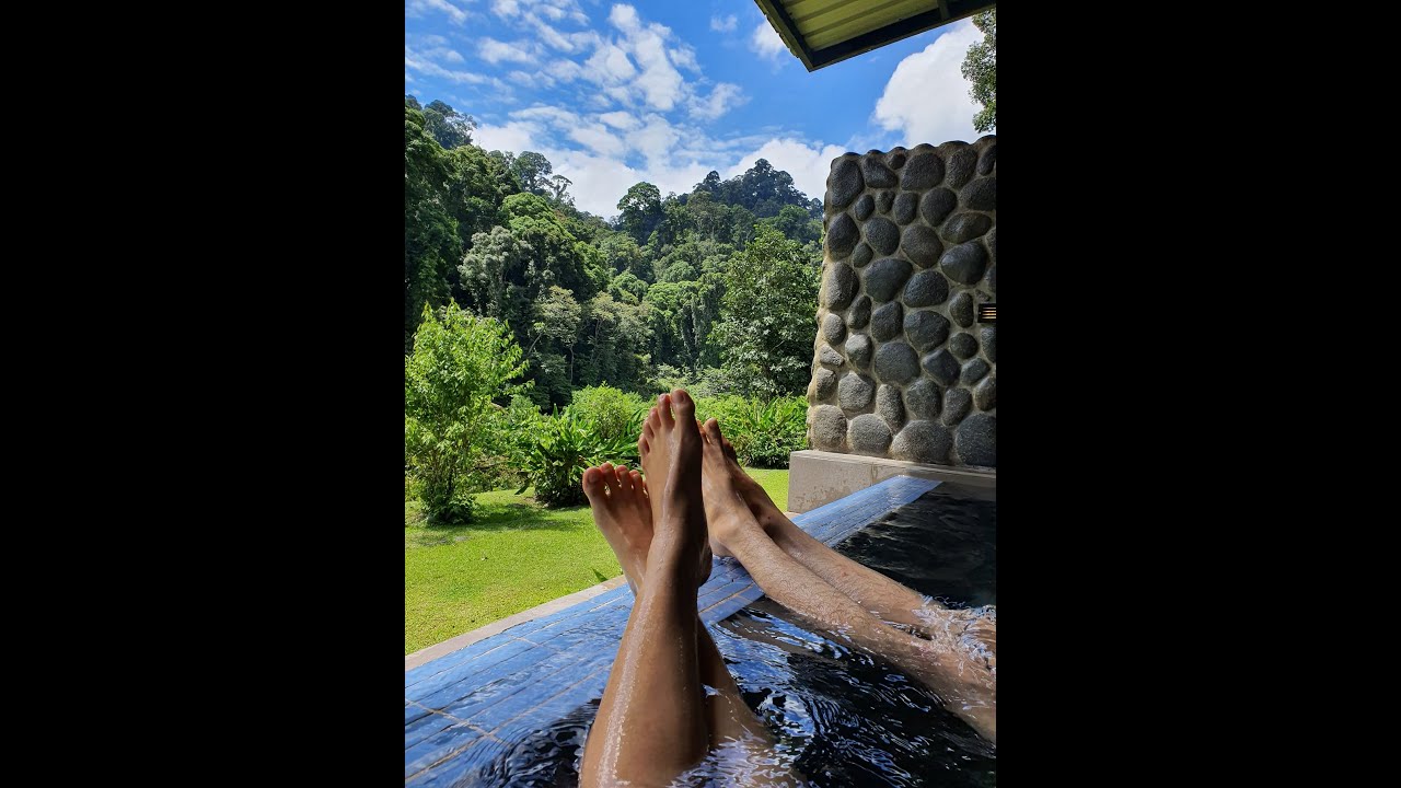 Magical Sabah [Borneo Rainforest Lodge Danum Valley] Close encounter with huge orang utan!