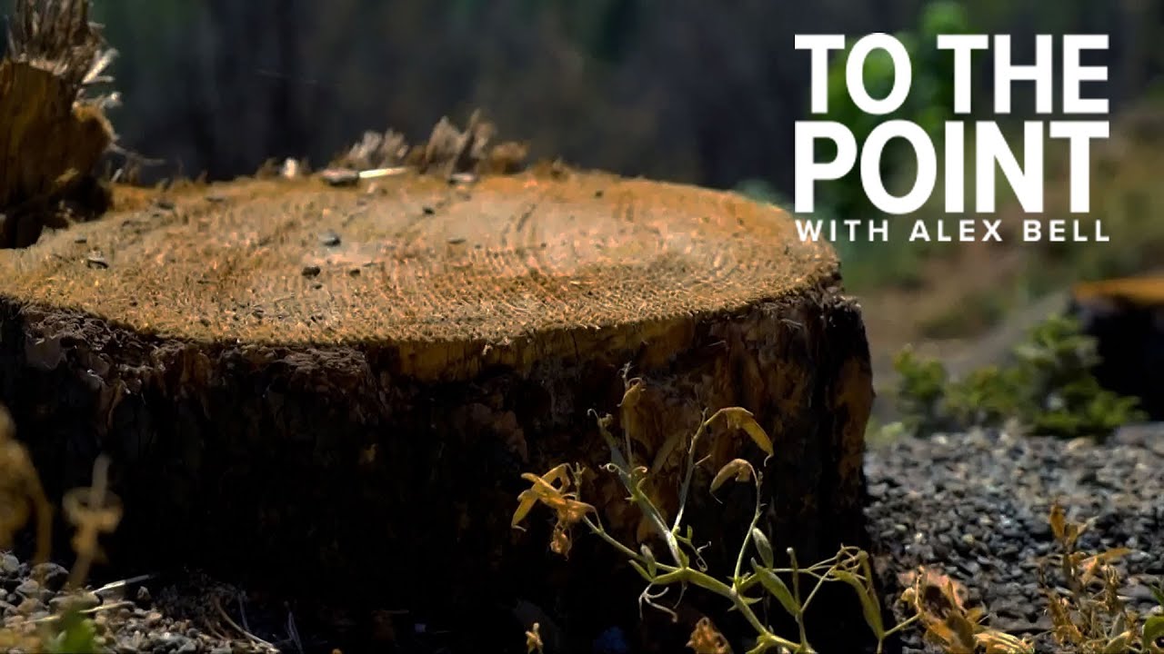 Grizzly Flats fire victims argue base rate fees for water services are illegal | To The Point