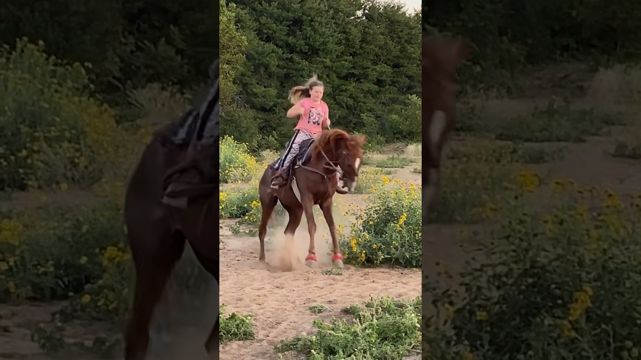Oh No! He did it again&hellip; #ohno #bucking #horse #fallingoff #getbackup #buckit #funnyhorsefails