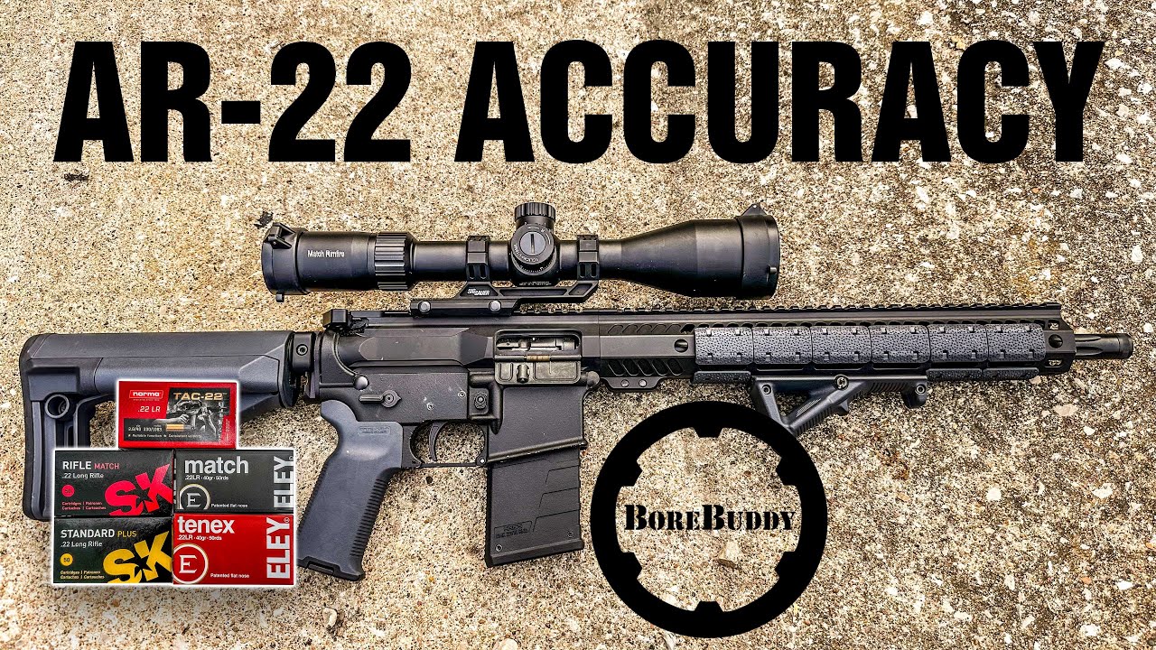 А AR-22 матчевого класса? Bore Buddy Apogee Match Gen 2