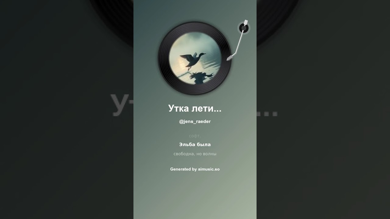 Утка летит над водой Die Ente fliegt übers Wasser