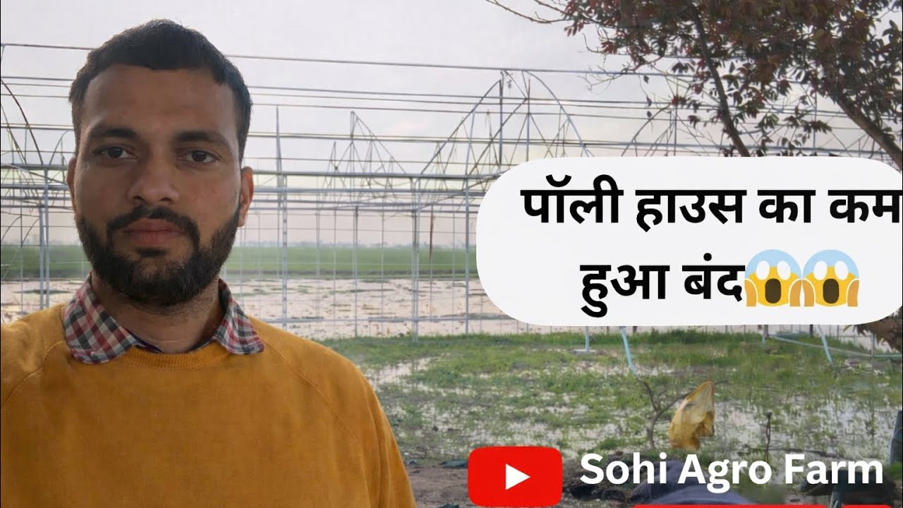 Polyhouse Work Stopped 