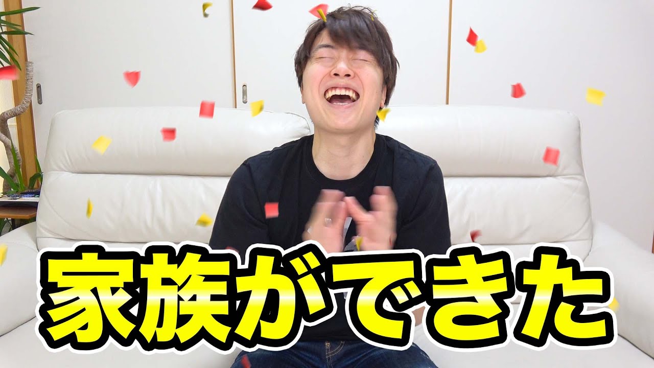 新しい家族ができました！