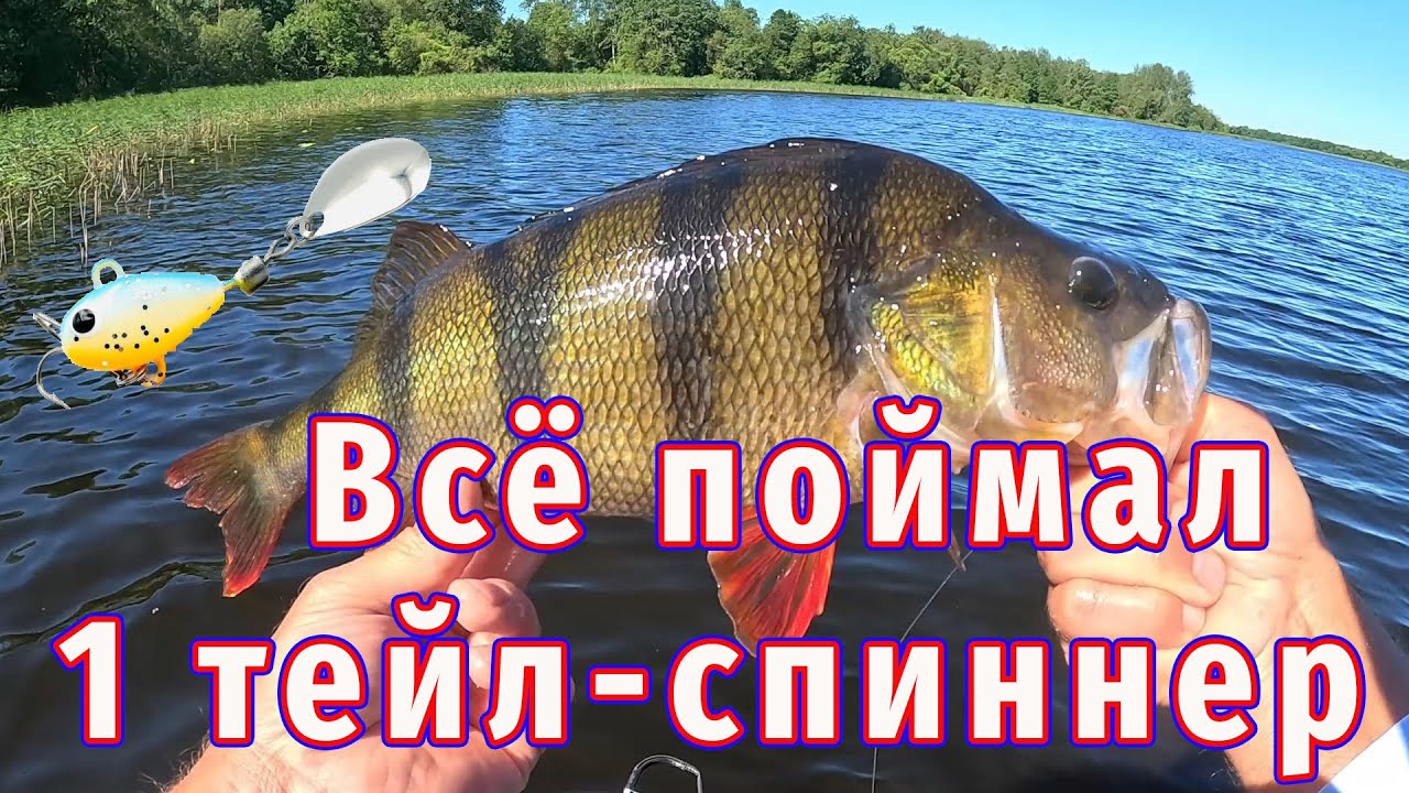 Рыба Очень ЛЮБИТ Эту Приманку!