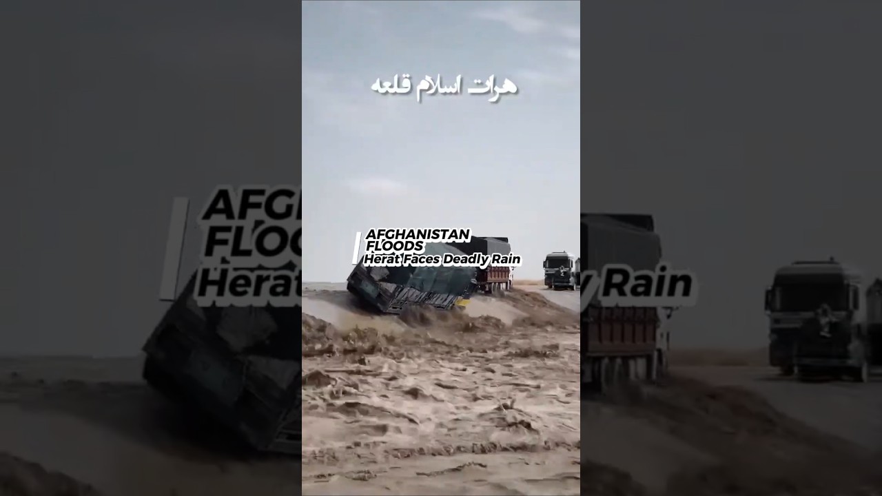 AFGHANISTAN FLOODS: Herat Faces Deadly Rain and Rising Risk 🌧️