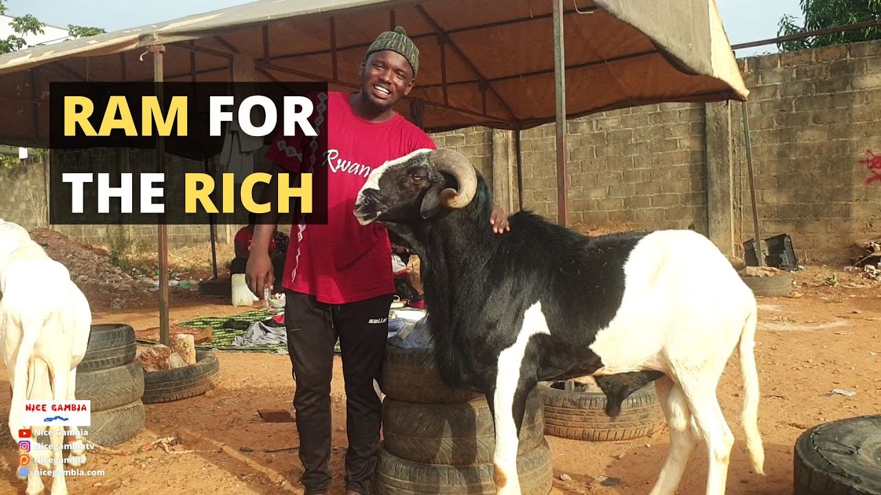 RAMs for the rich in Africa The Gambia