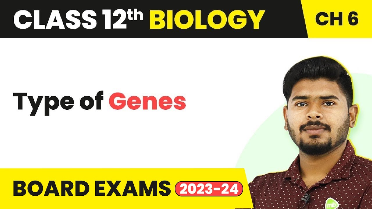Type of Genes - Molecular Basis of Inheritance | Class 12 Biology Chapter 6 NCERT/NEET (2022-23)
