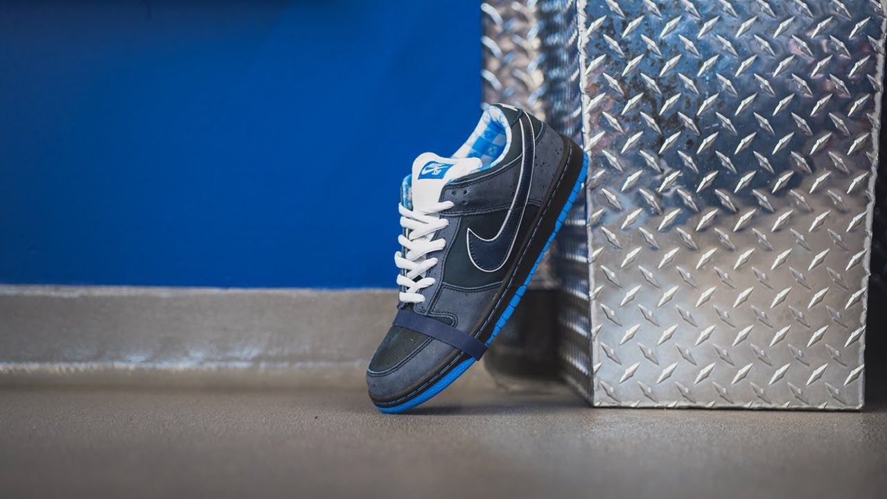 Concepts x Nike SB Dunk Low Premium 