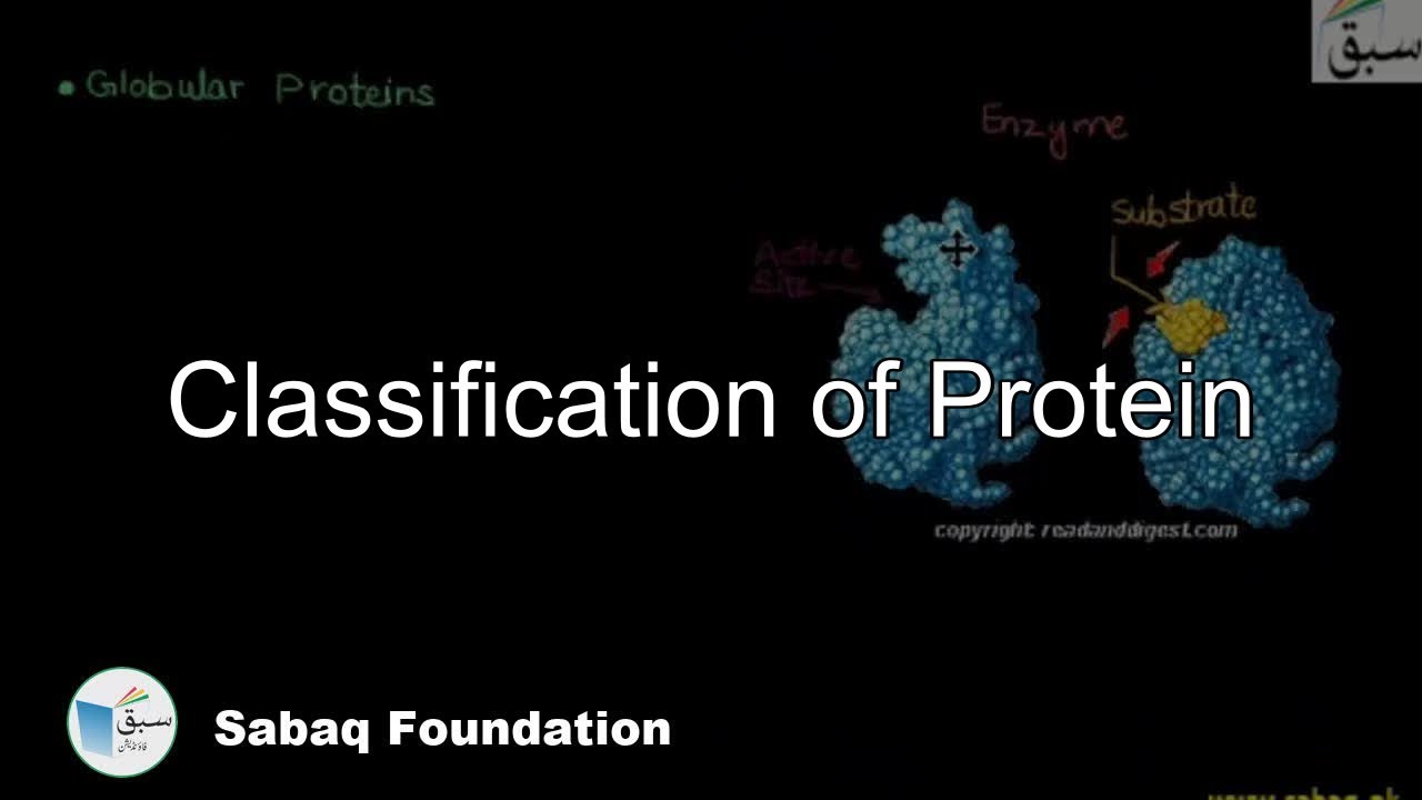 Classification of Protein, Biology Lecture | Sabaq.pk