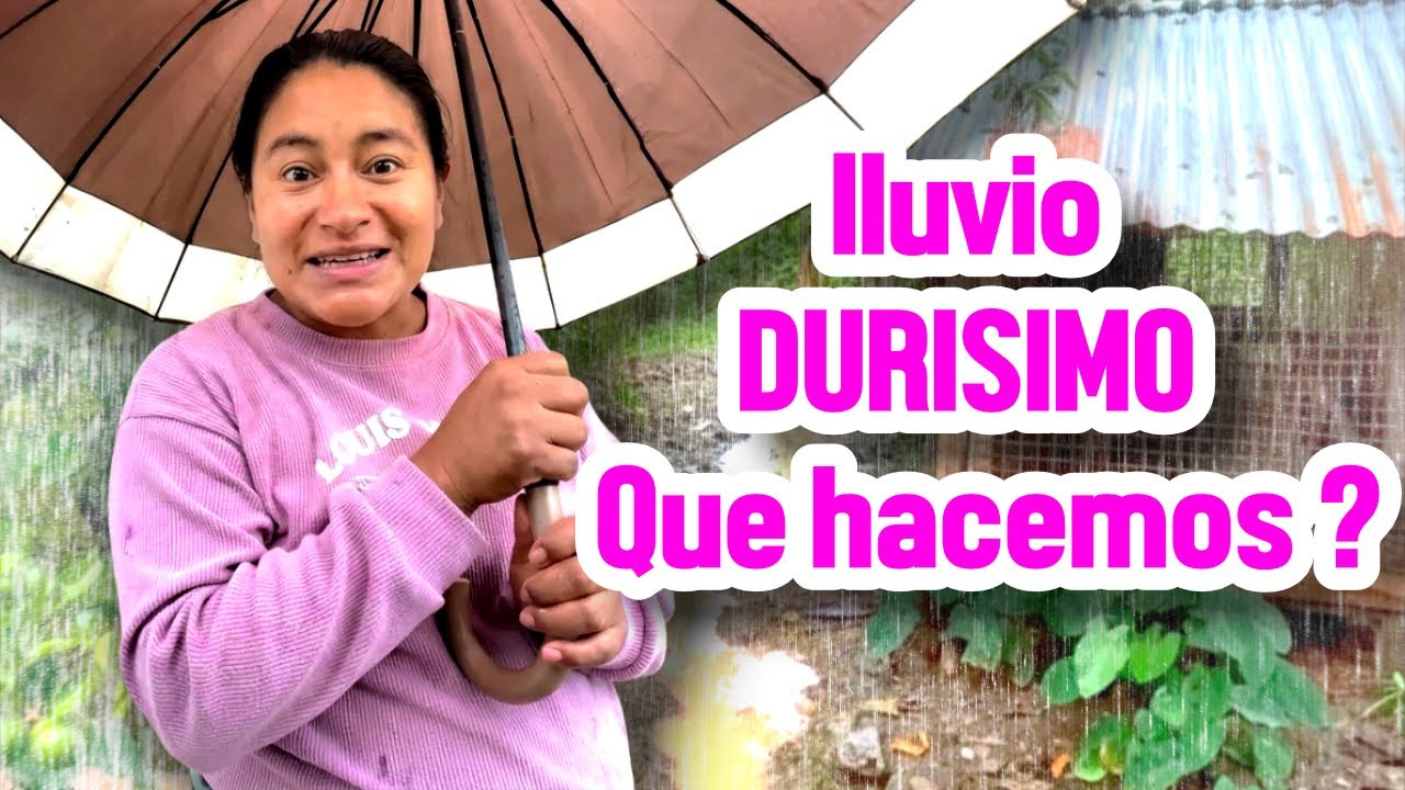 ! Una mañana  lluviosa en el campo ! Así empieza con Erika Erika y sus animales.