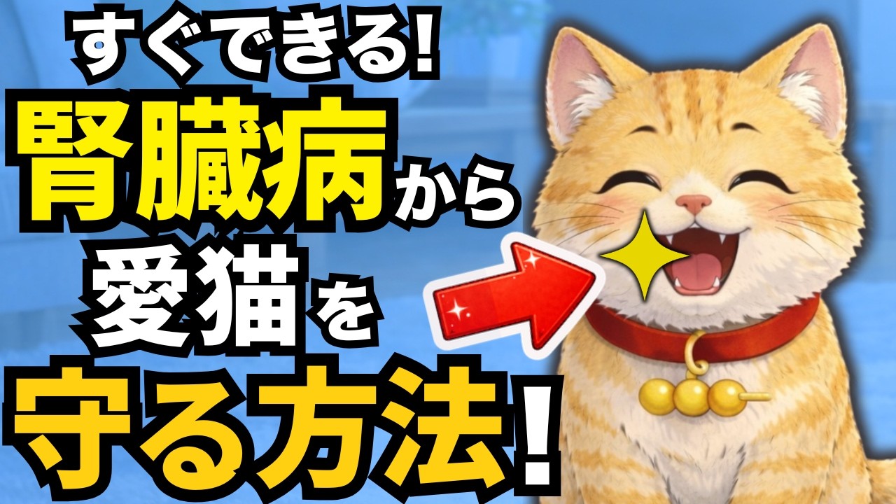 【今日から始めて！】猫の慢性腎臓病リスクを減らす習慣5選【猫の雑学】