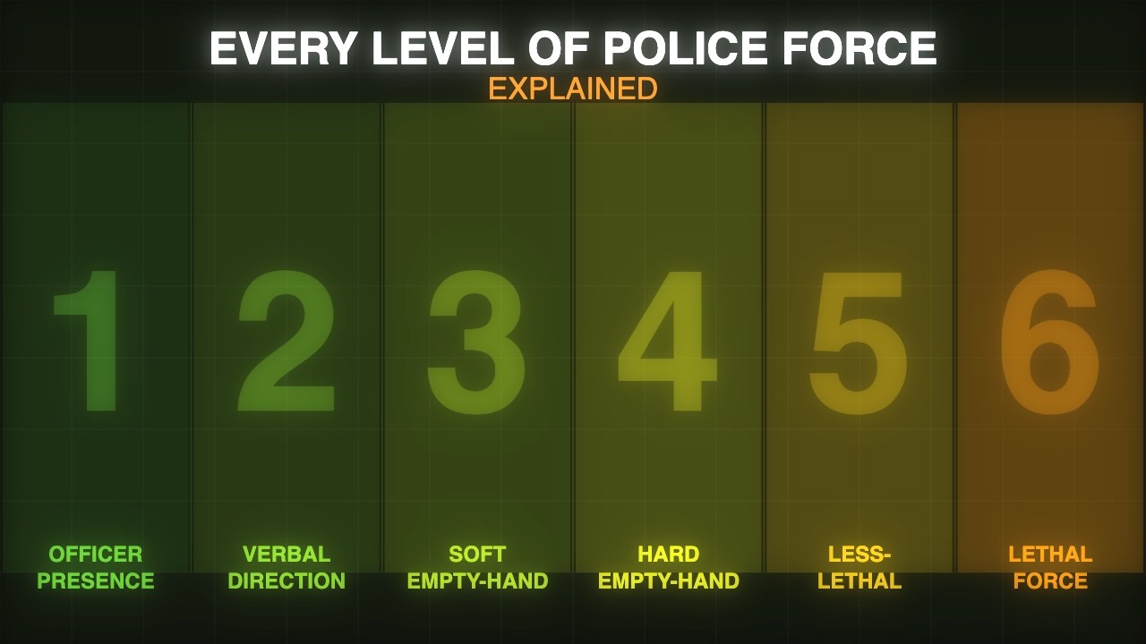 Every Level of Police Force Explained