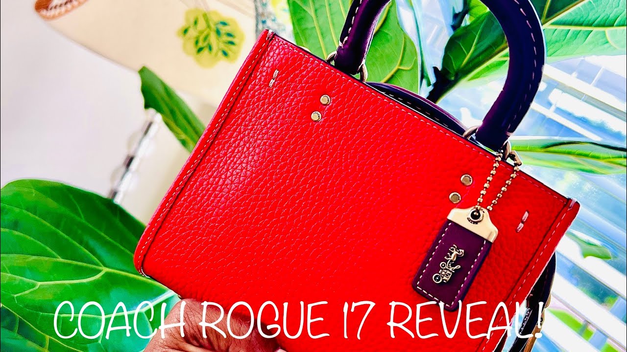 Coach Rogue 17 Reveal!