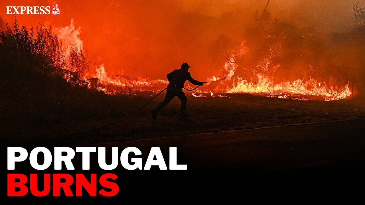 Massive wildfires ENGULF Portugal as thousands of brave firefighters battle to save homes