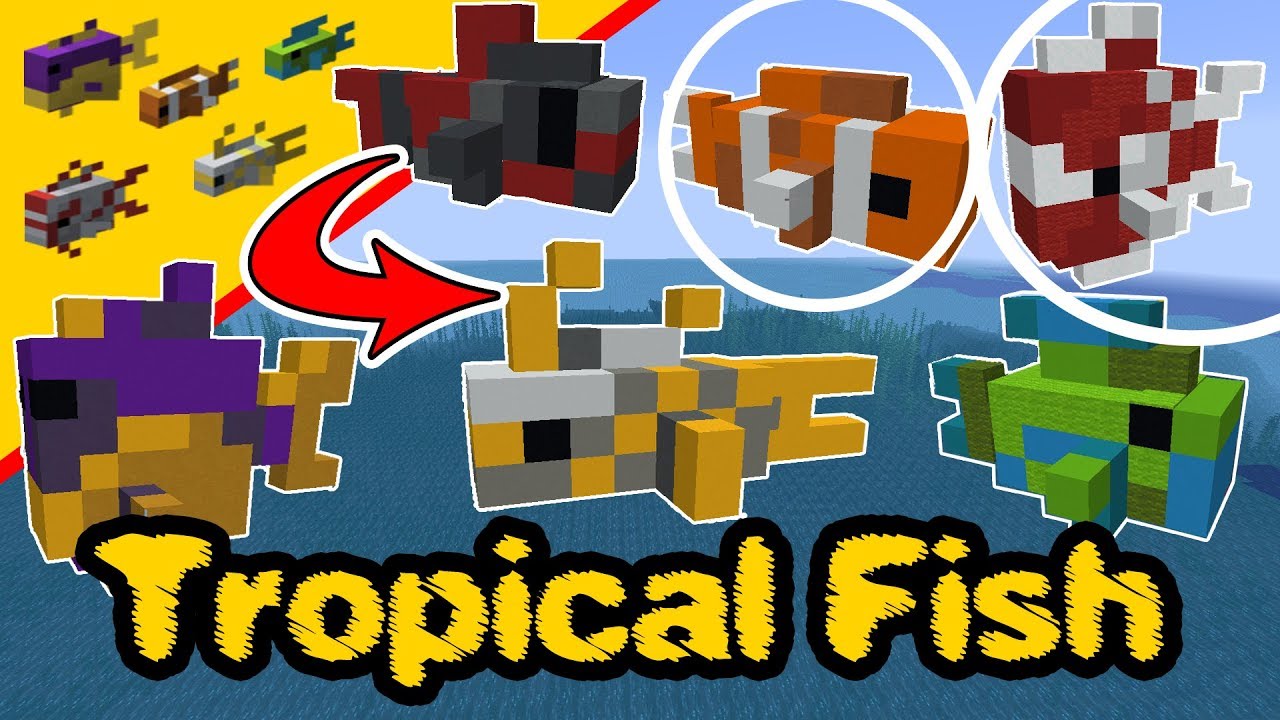 Minecraft tropical fish - Tropical fish Statue - Fish PS4, XBox, PC, Pocket Edition, Switch
