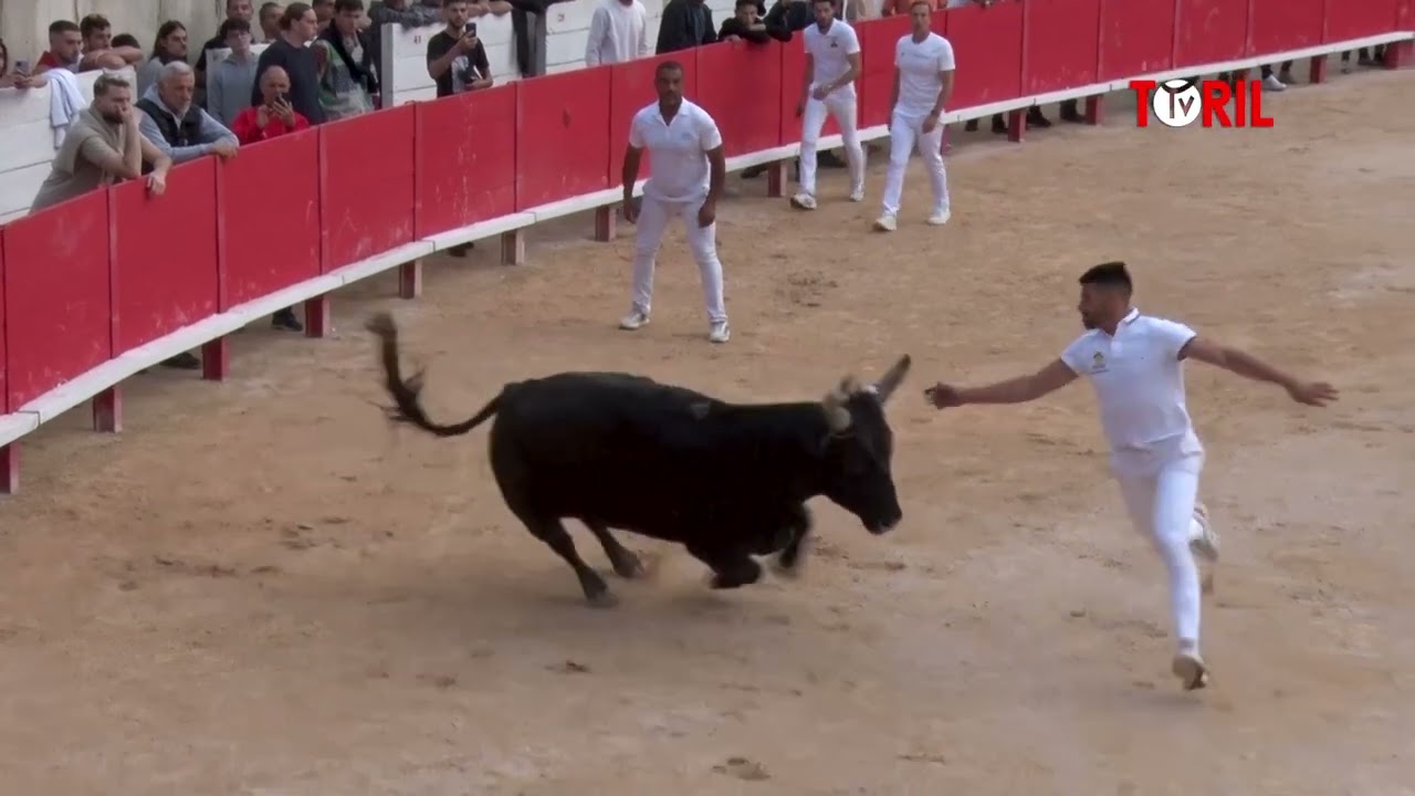 NIMES (16/05/2024) - Le résumé de la course