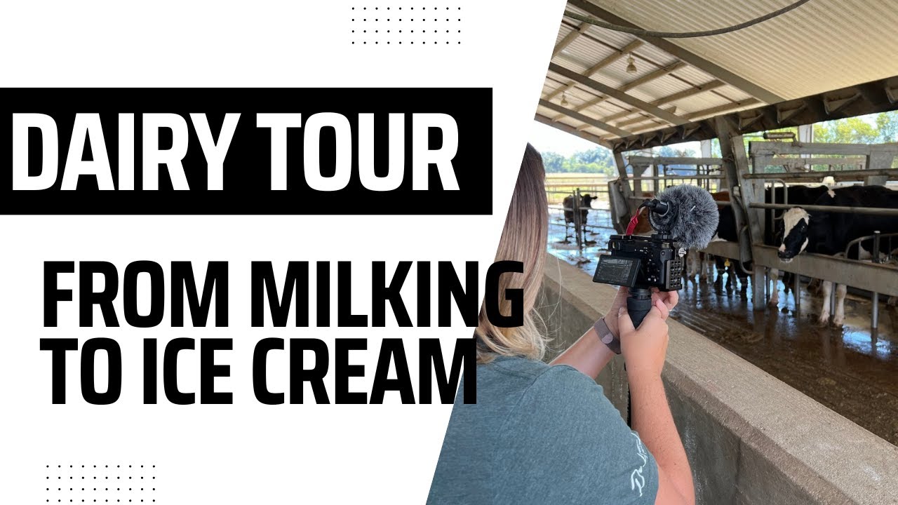 How a dairy milks cows and makes ice cream! | Cindale Farms in Marianna, Florida