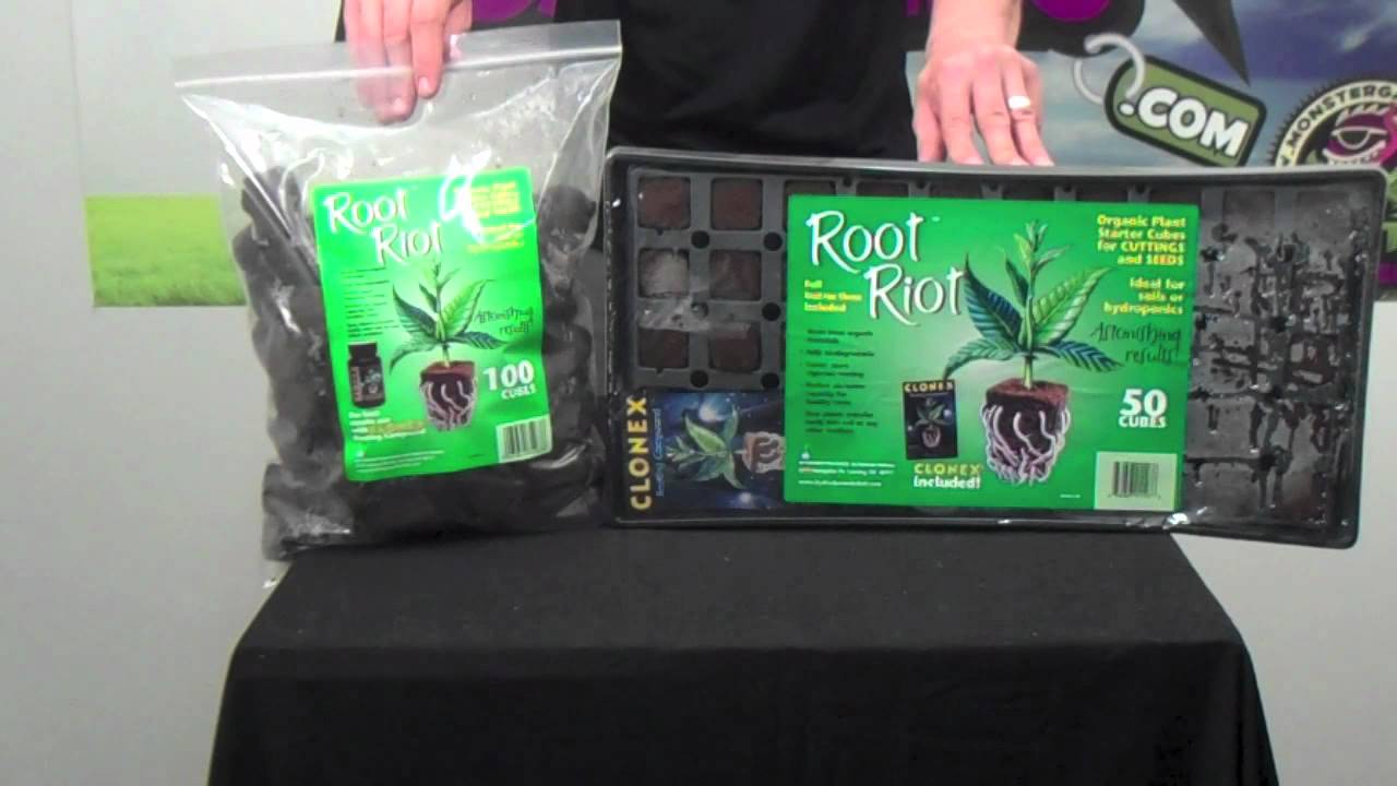 Root Riot Cloning Rooting Plugs | Rapid Rooter Recommendations Instructions Tips Directions