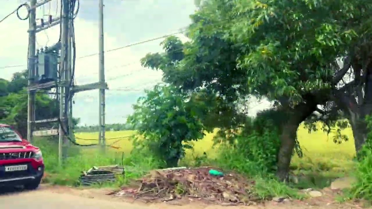 Scenic Drive from Changanassery to Alappuzha | Kerala's Beautiful Road Trip #keralaroadtrip