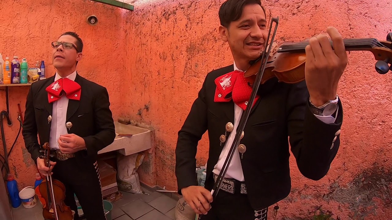 De qué manera te olvido / Mariachi Tradición Tapatía