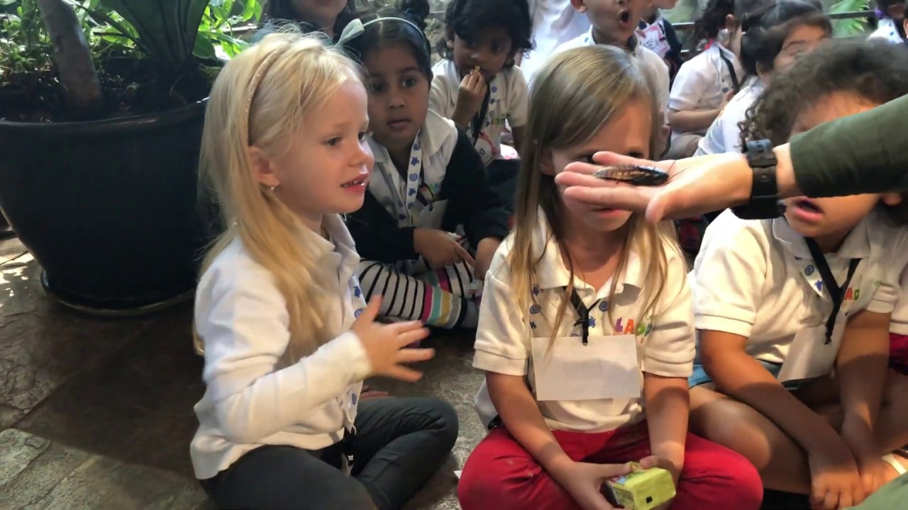 The green planet Dubai with kids| discover new places| video for children