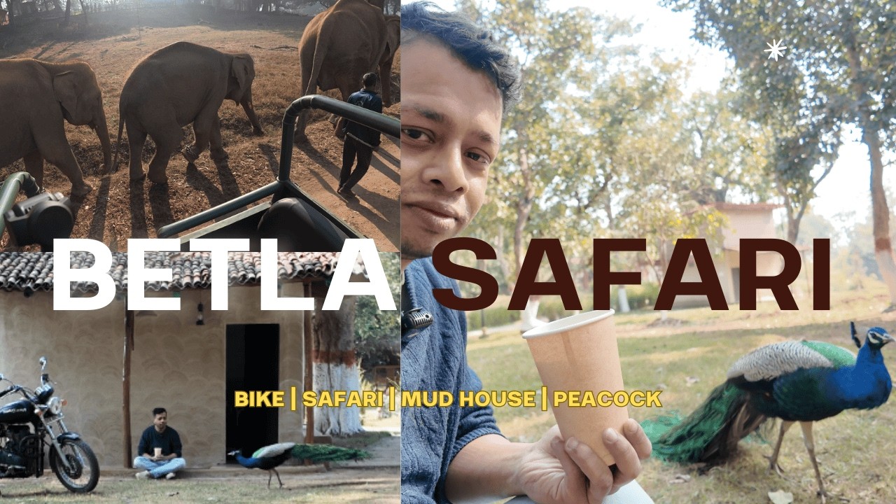 EP 4 Betla National Park Morning Safari 🐅 | Peacock Encounter 🦚 | Bonfire Night 🔥