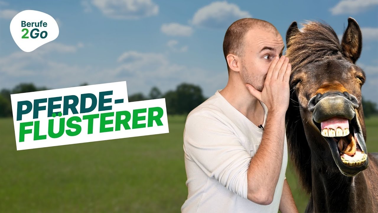 Pferdewirt: Beruf, Ausbildung & Gehalt! 🐎🐴 | Berufe2Go