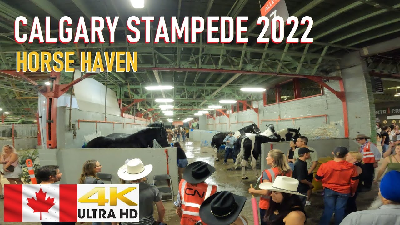 Calgary Stampede 2022, Day 2 -  Horse Haven in 4K