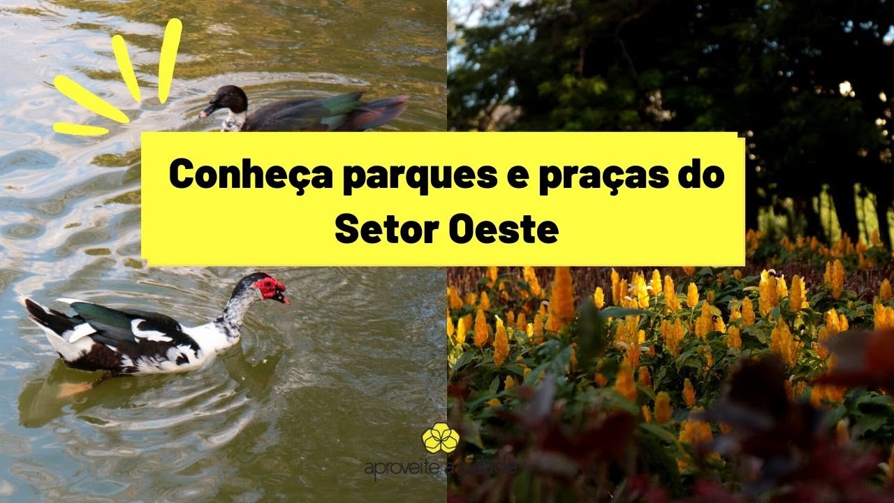 Aproveite a natureza do Setor Oeste, em Goi&acirc;nia | #APROVEITEACIDADE 51
