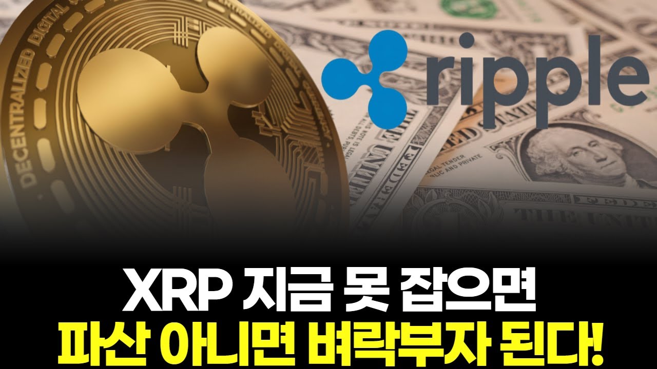 XRP 지금 못 잡으면 파산 아니면 벼락부자 된다!
