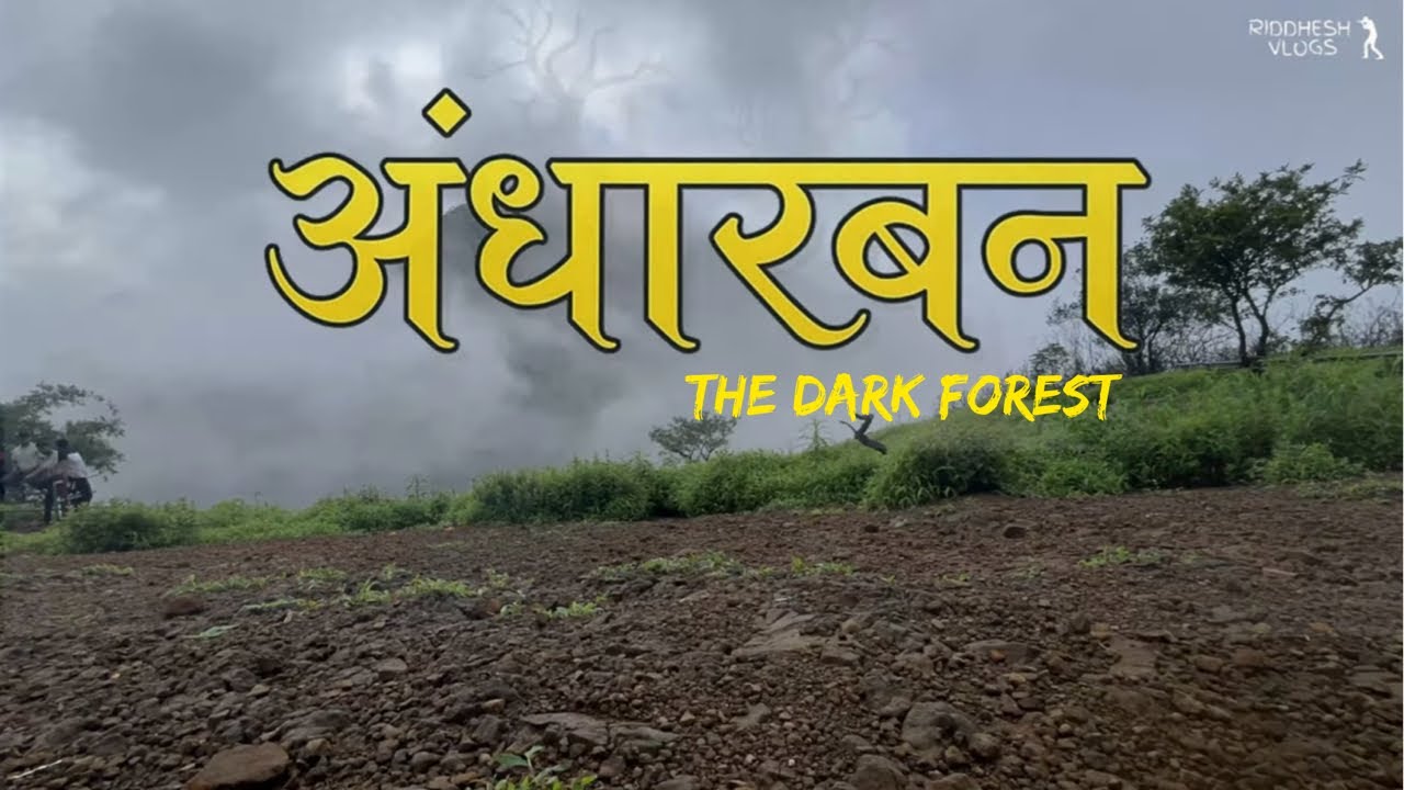 Andharban Jungle Trek | The Dark Forest | महाराष्ट्रातील घनदाट जंगल | Complete Trek Guide