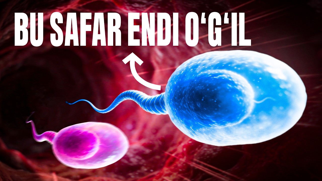 Endi O'G'ILNI reja qilsangiz bo'ladi