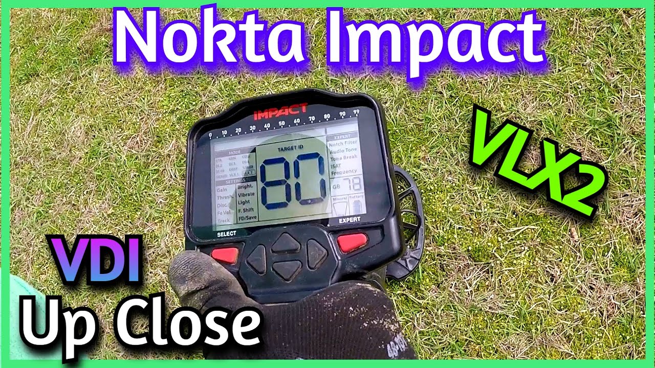 Up Close with The Nokta Impact in VLX2