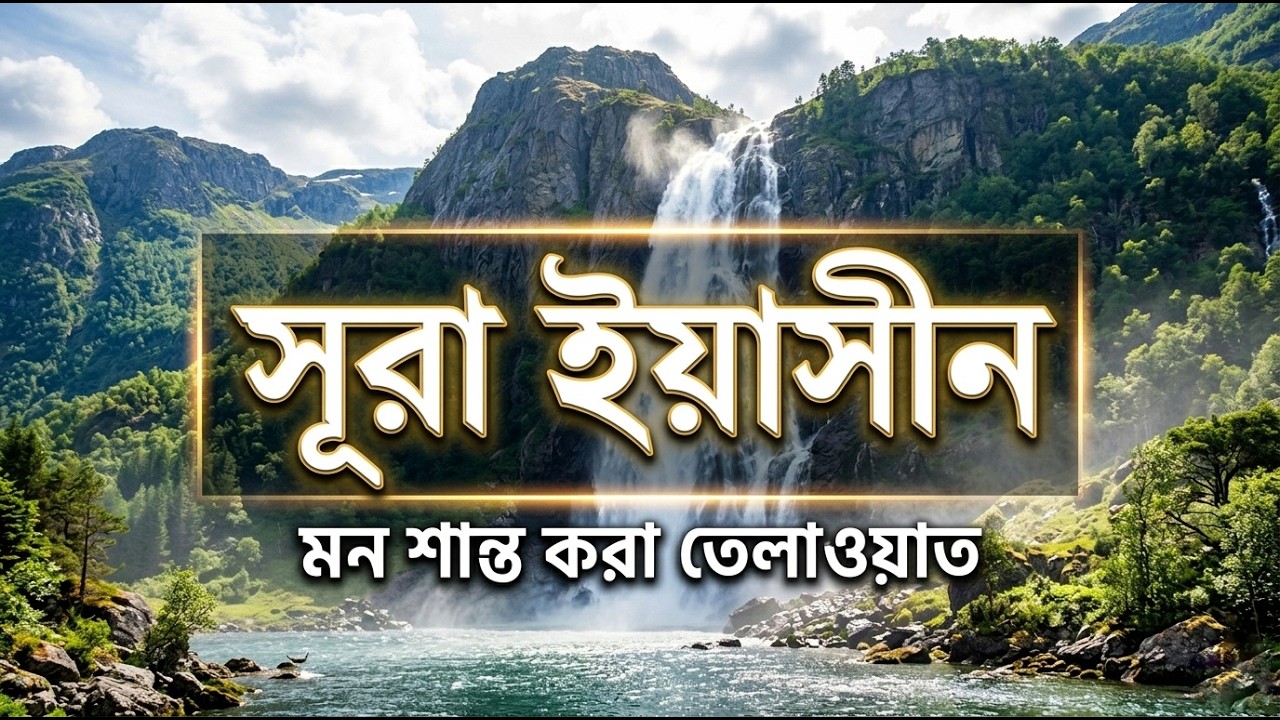 মন শান্ত করা তেলাওয়াত | সূরা ইয়াসীন | Surah Yaseen Full | ECHOS OF SUNNAH