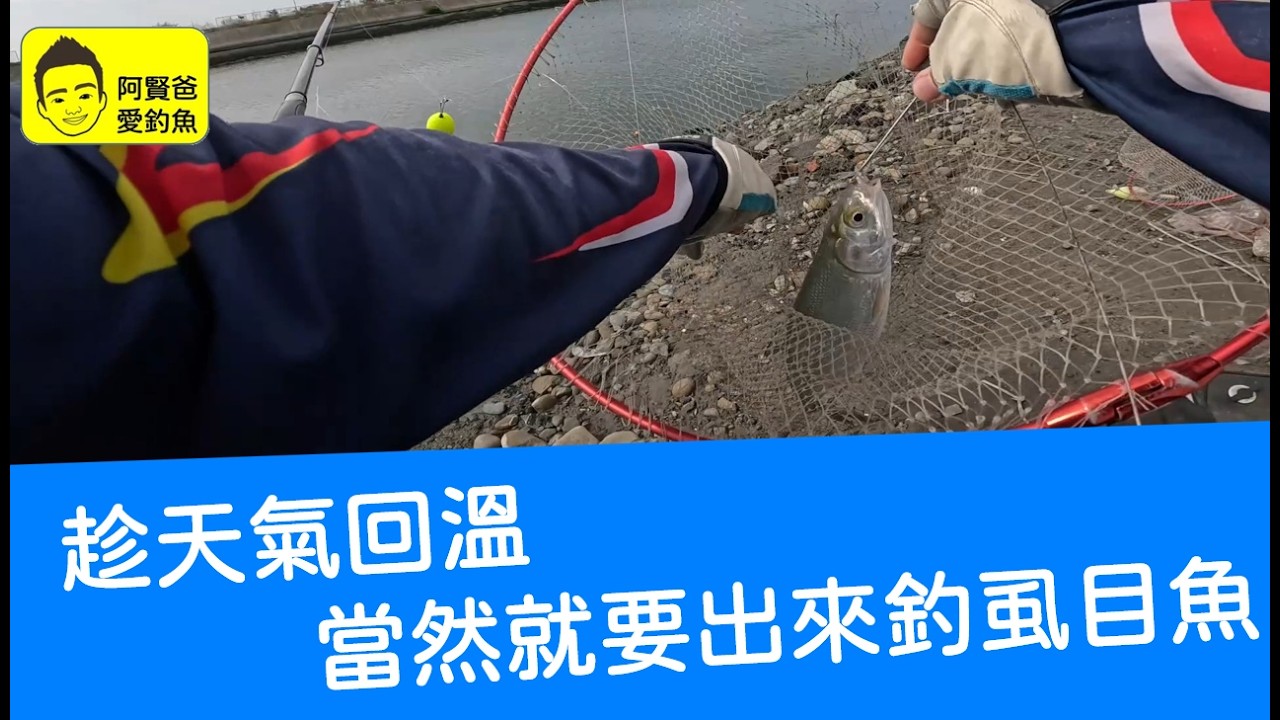 【阿賢爸】愛釣魚 Ep.533 趁天氣回溫  當然就要出來釣虱目魚