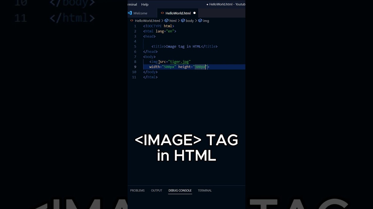 IMAGE tag in HTML | How to Use the HTML Image Tag #css #Html