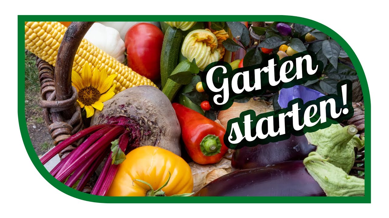 Gemüsegarten starten - 10 wichtige Themen die zu beachten sind wenn du deinen Gemüsegarten anlegst