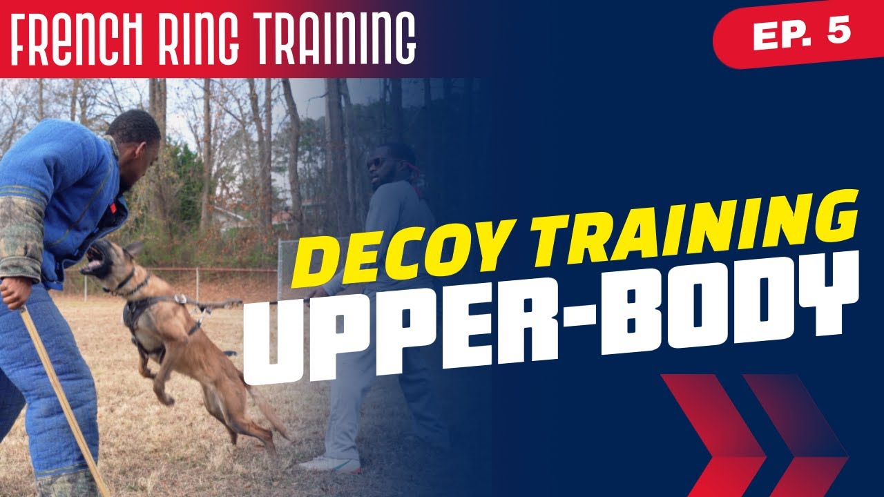 Behind The Stick - Ep. 5 - Upper-Body Training for French Ring Decoys - Malinois Training