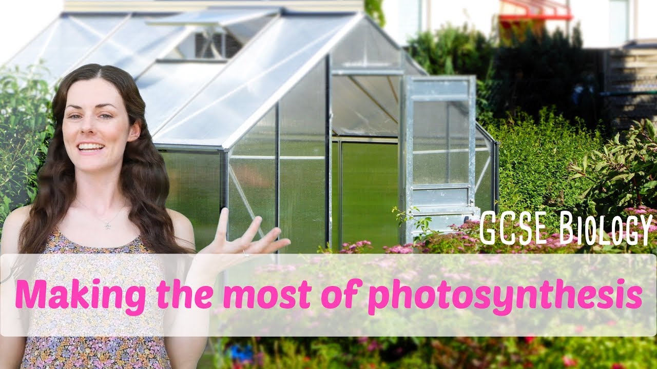 Making the Most of Photosynthesis - GCSE Biology