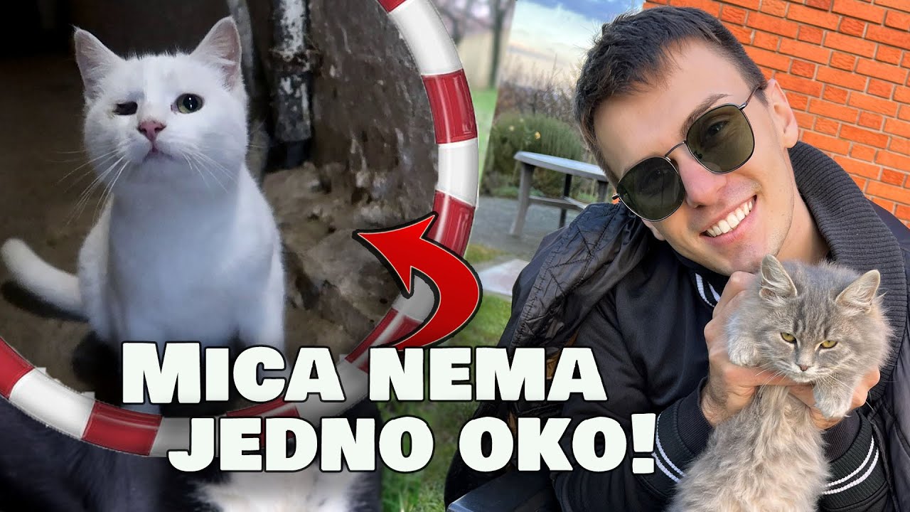 Moje životinjsko carstvo!
