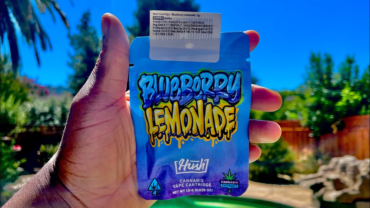 Trying Out A NEW BUDGET Vape CART!! *Hush*