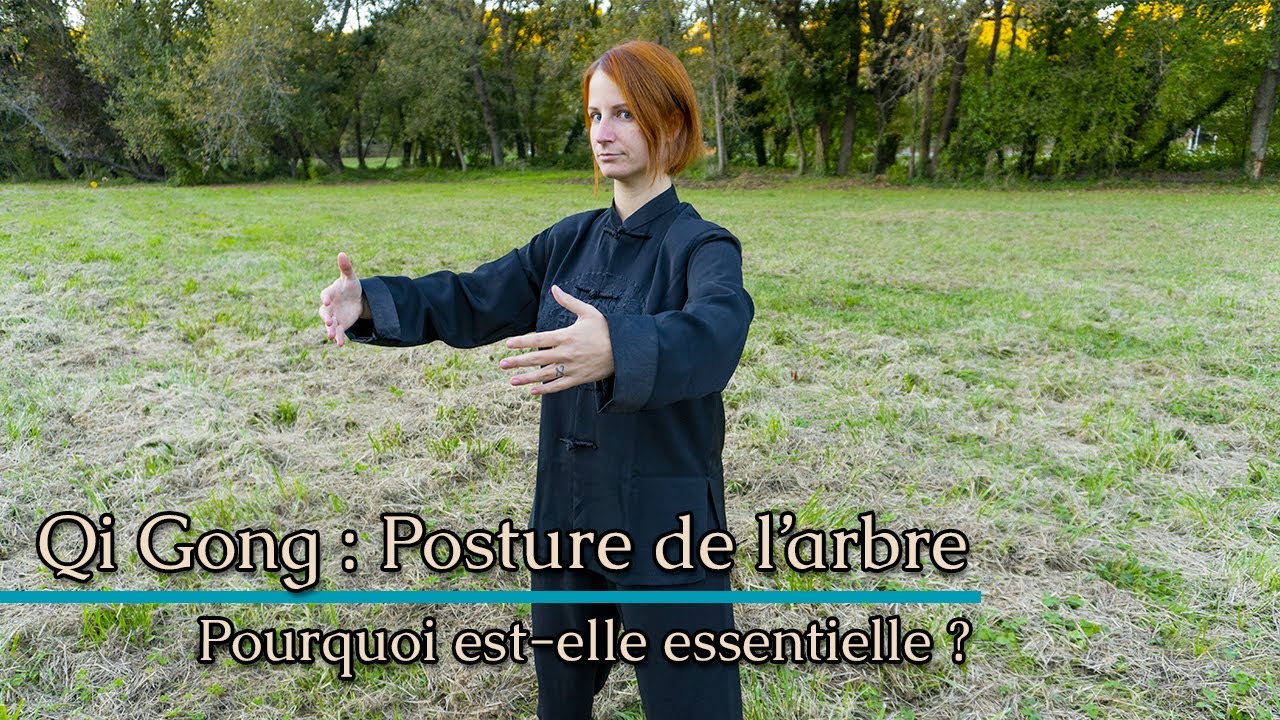 Qi Gong : Pourquoi la posture de l'arbre est-elle essentielle ?