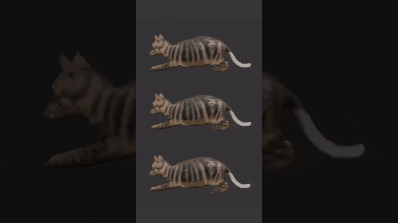Name the title