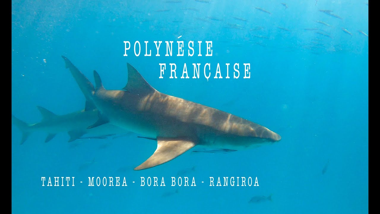 A&P  - POLYNÉSIE FRANÇAISE
